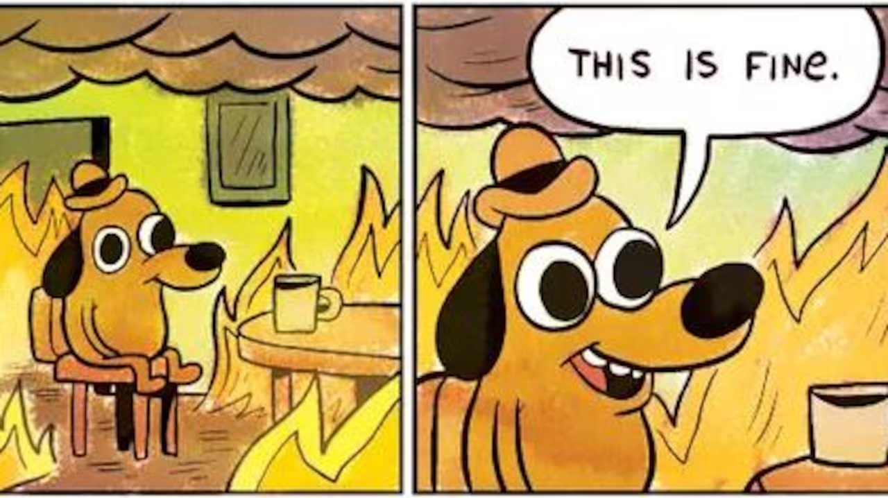 This is fine meme